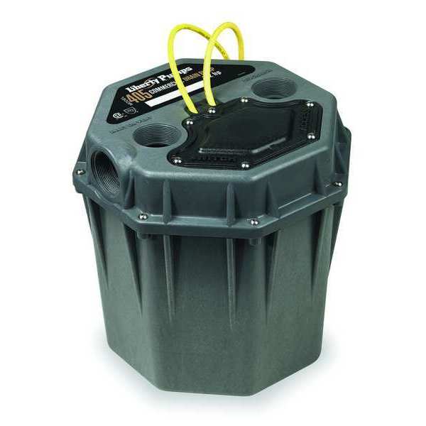 2 in. 1/2 HP Commercial Sink Pump System