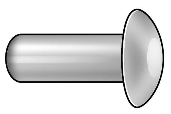 Semi-Tubular Rivet, Oval Head, 1/4 in Dia., 7/16 in L, Brass Body, 50 PK