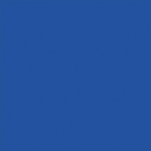 Spray Paint, True Blue, Gloss, 12 oz