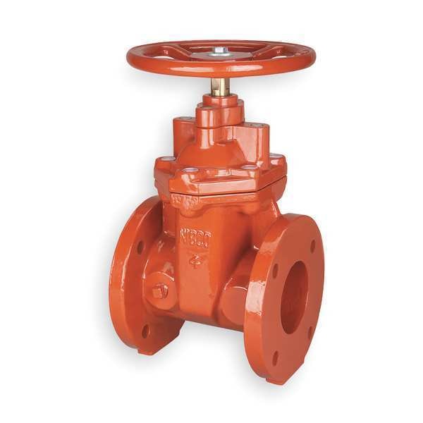 Gate Valve, Class 125, 2 In., Flange