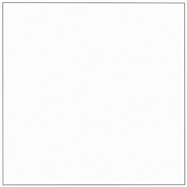 Elastomeric Acrylic Coating, White, 5 gal.