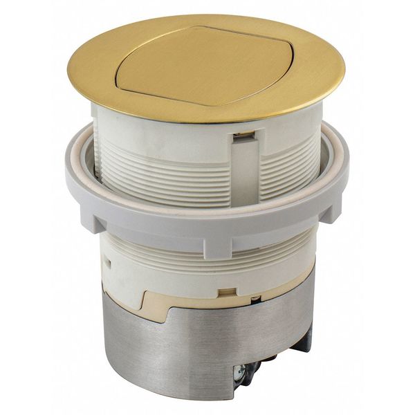 15A Kitchen Counter, Receptacle, Flush Brass, Kit