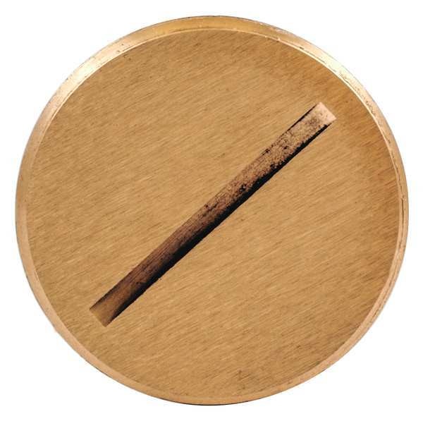 Brass Insert