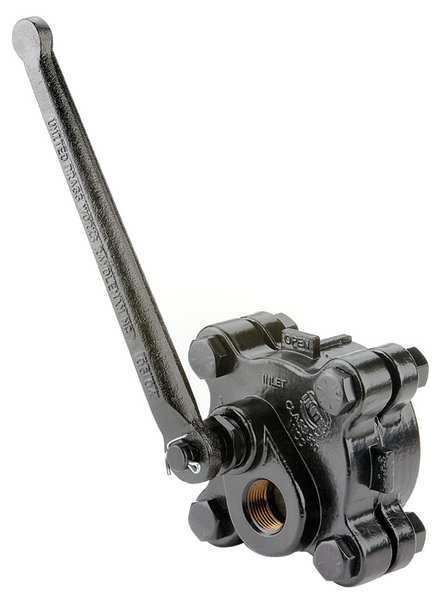 Gate Valve, 2 In., FNPT, Carbon Steel