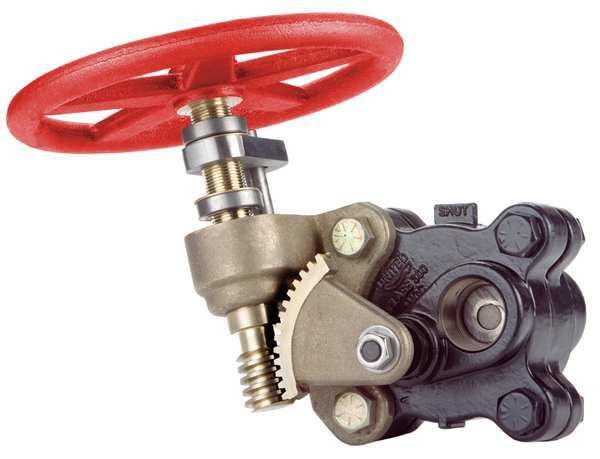Gate Valve, 1-1/2 In., FNPT, Carbon Steel