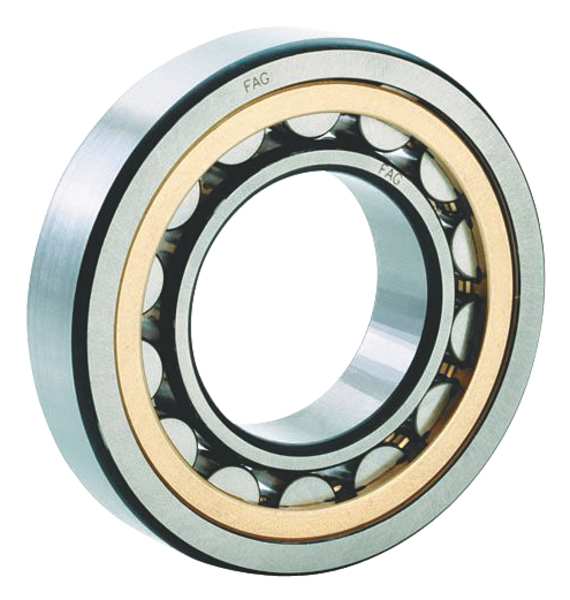 Cylindrical BRG, Bore 55 mm, Brass