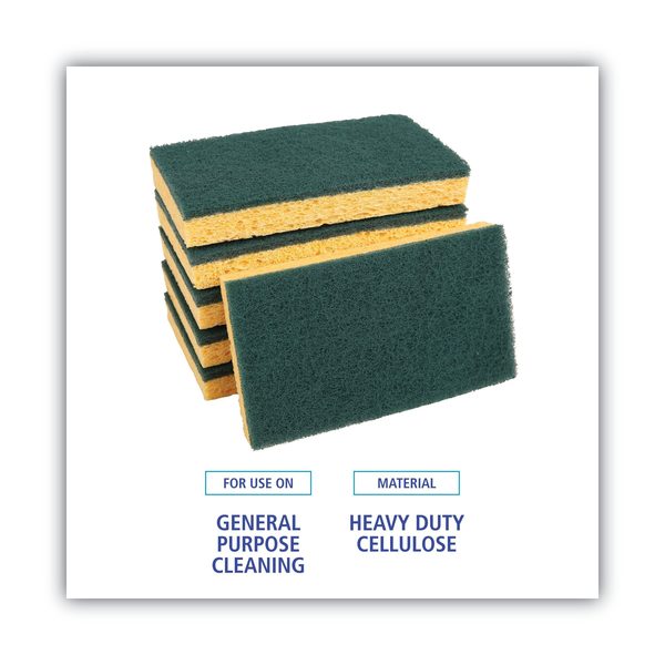 Scrubbing Sponge, Medium Duty, Green, PK20