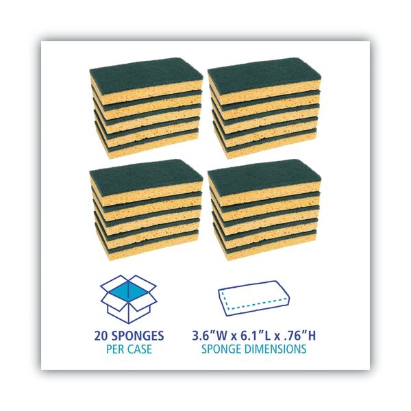 Scrubbing Sponge, Medium Duty, Green, PK20