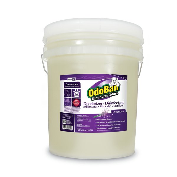Concentrated Odor Eliminator/Disinfectant, Lavender Scent, 5 gal Pail