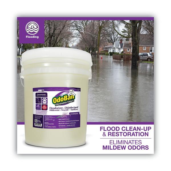 Concentrated Odor Eliminator/Disinfectant, Lavender Scent, 5 gal Pail