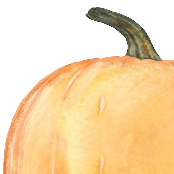 Stationery Letterhead, Big Pumpkin, PK80