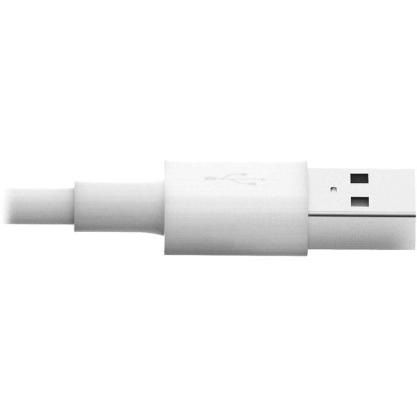 Charging Cable, Apple Lightning, White, 6ft