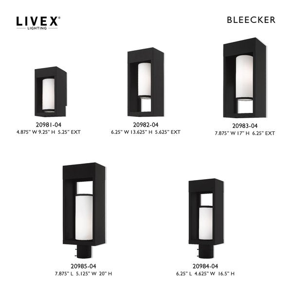 Bleecker 1 Light Black Outdoor Wall Lantern