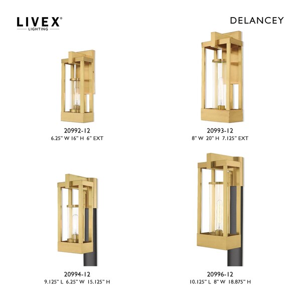 Delancey 1 Light Satin Brass Outdoor Wall Lantern