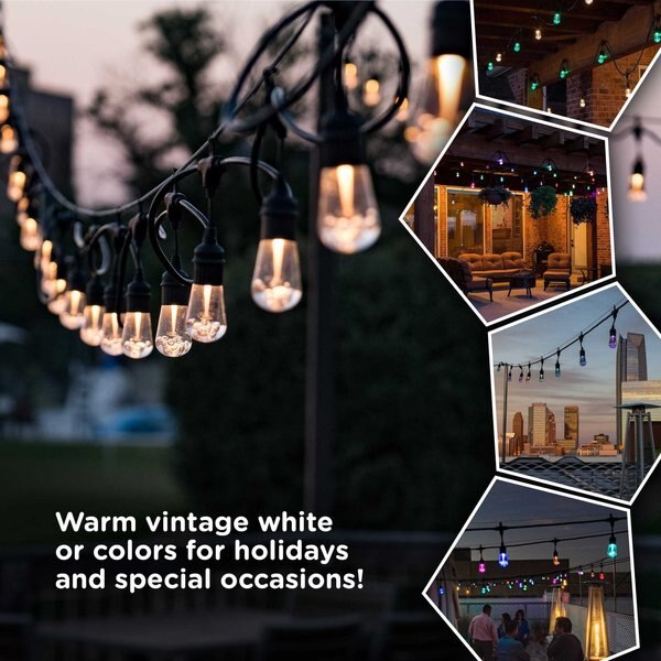 Seasons Cafe Lights, 48 ft., 24 Bulbs