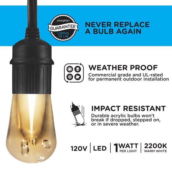 Seasons Cafe Lights, 24 ft., 12 Bulbs