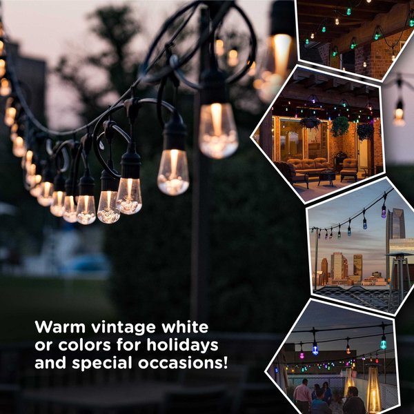 Seasons Cafe Lights, 24 ft., 12 Bulbs