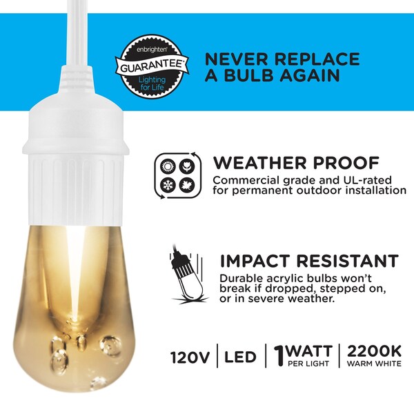 Seasons Cafe Lights, 24 ft., 12 Bulbs