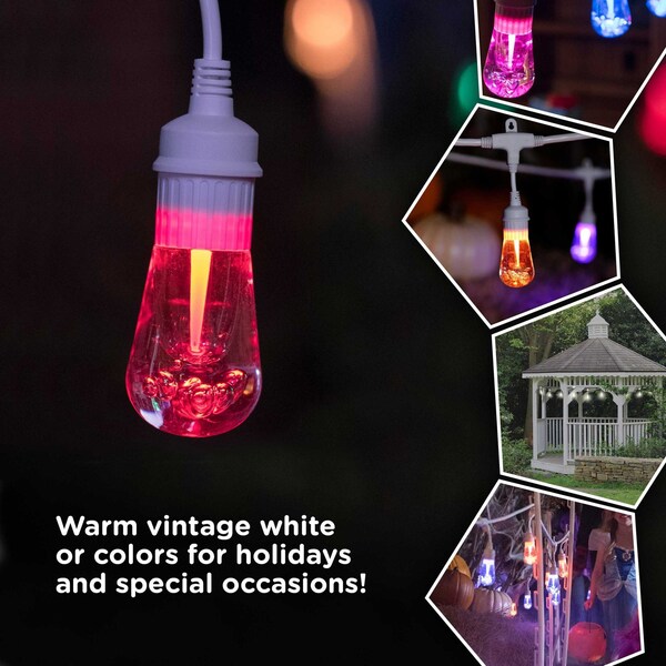 Seasons Cafe Lights, 24 ft., 12 Bulbs