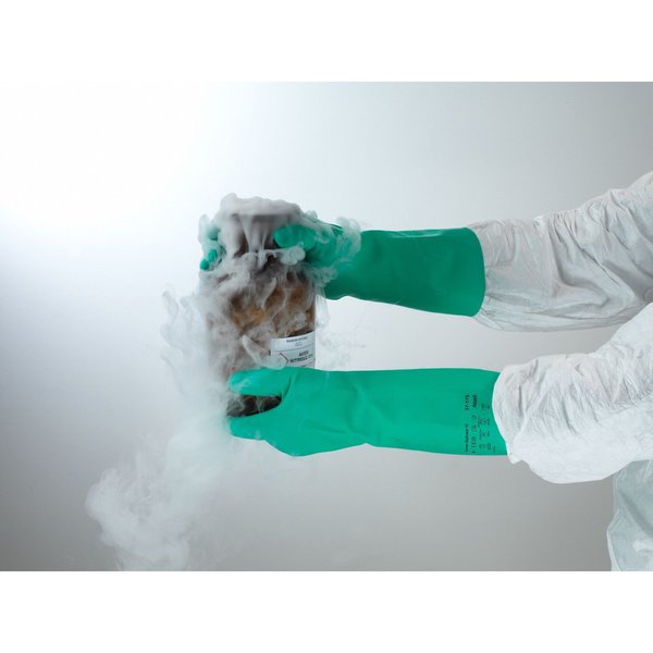 Chemical Resistant Glove, 15 mil, Sz 10, PR