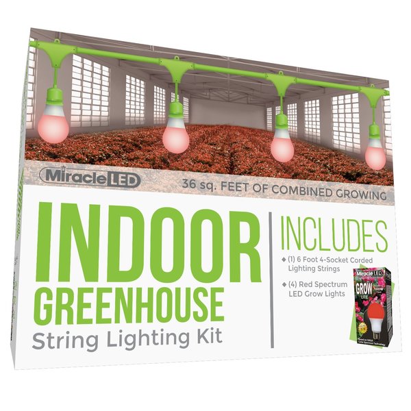 Absolute Daylight 4-Socket Corded LED Gr