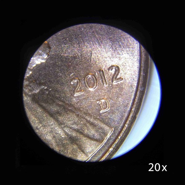 Student Stereo Microscope 20x, 50x