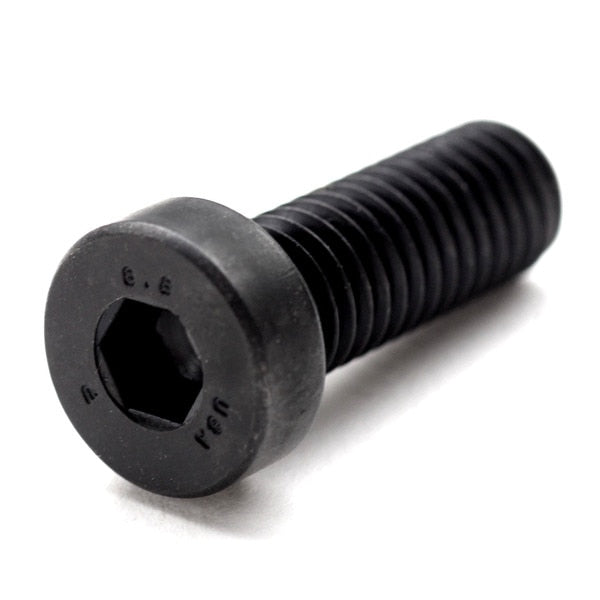 #2-56 Socket Head Cap Screw, Black Oxide Alloy Steel, 10 PK