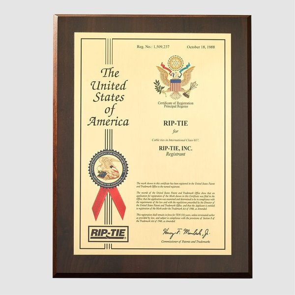 Back-to-Back Strap, No Adhesive, 7 in, 3/4 in Wd, Black, 5 PK