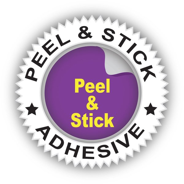 Self Adhesive Holder, 9x12, PK50