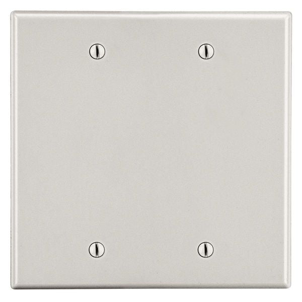 Wallplate, 2-Gang, 2 Box Mount Blank, Light Almond