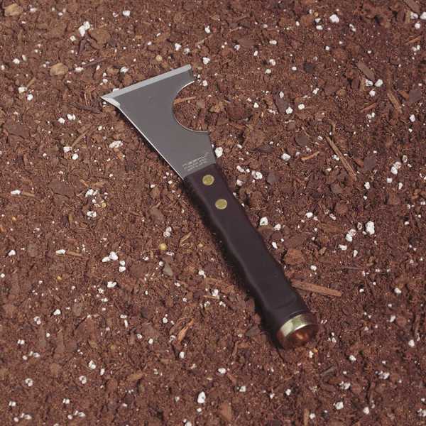 Scraper Knife, w/Hammer End, 2-1/2