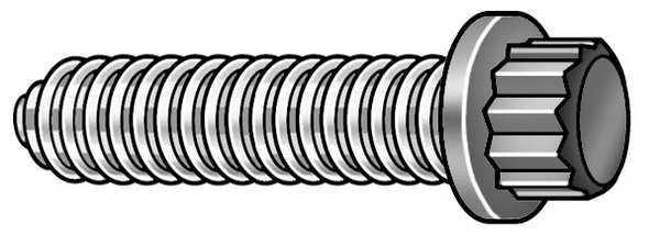 Grade 9, 1/2