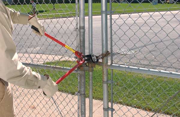 Bolt Cutters, Steel, 36 in