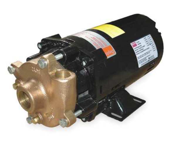Bronze/Brass 1 HP Centrifugal Pump 208-230/460V