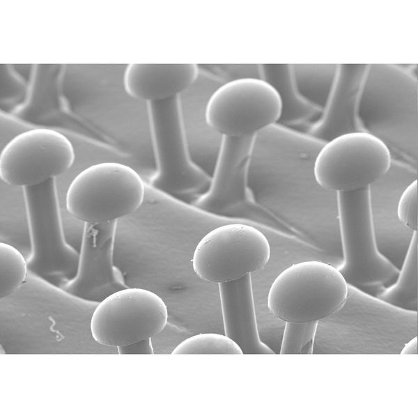 Hook-and-Loop Disc BU Pad, 4D