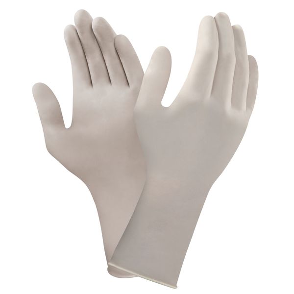 Disposable Gloves, Neoprene/Polychloroprene, Powder Free, Cream, 7, 200 PK