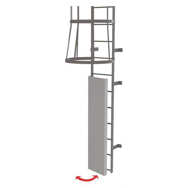 Ladder, Fixed, Steel, Guard Door
