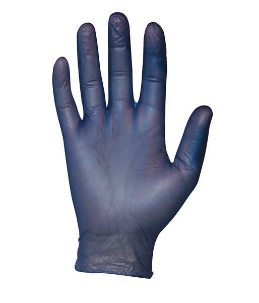 Disposable Gloves, Vinyl, Powder Free, Blue, XL, 100 PK