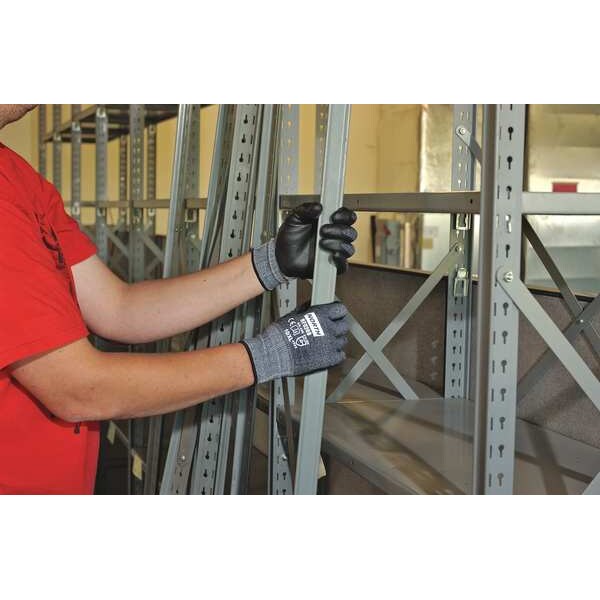 Cut Resistant Coated Gloves, 3 Cut Level, Nitrile/Polyurethane, XL, 1 PR