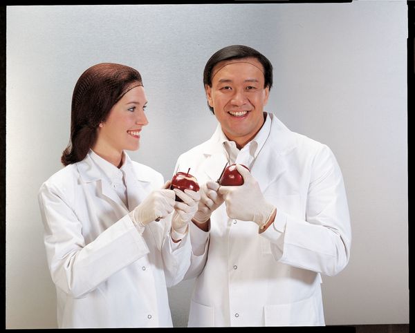 Hairnet, Light Brown, Universal, PK144