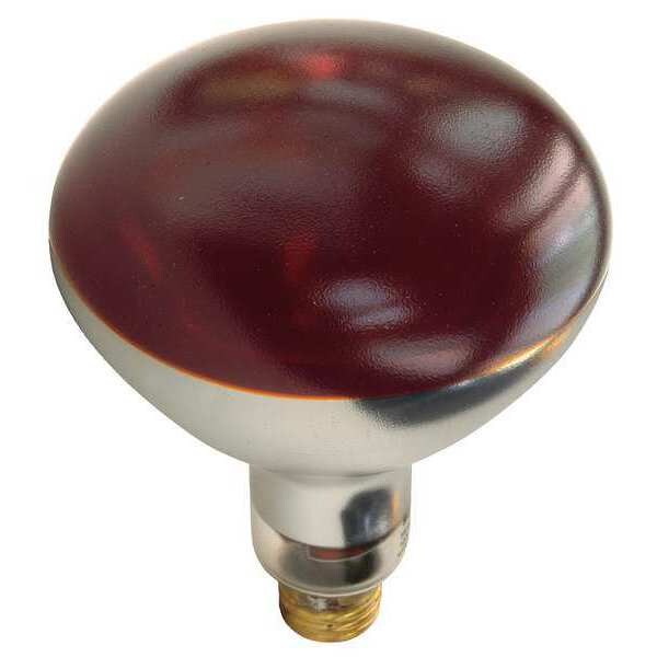 SHAT-R-SHIELD 250W, R40 Incandescent Heat Light Bulb