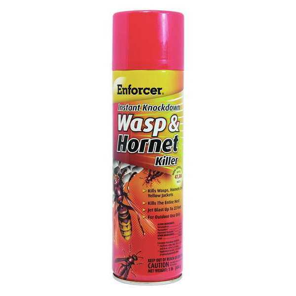 16 oz. Aerosol Outdoor Only Wasp and Hornet Killer, PK12