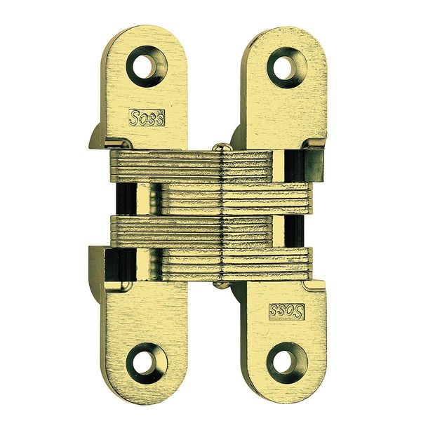 1 in W x 4 5/8 in H Satin Brass Concealed Hinge