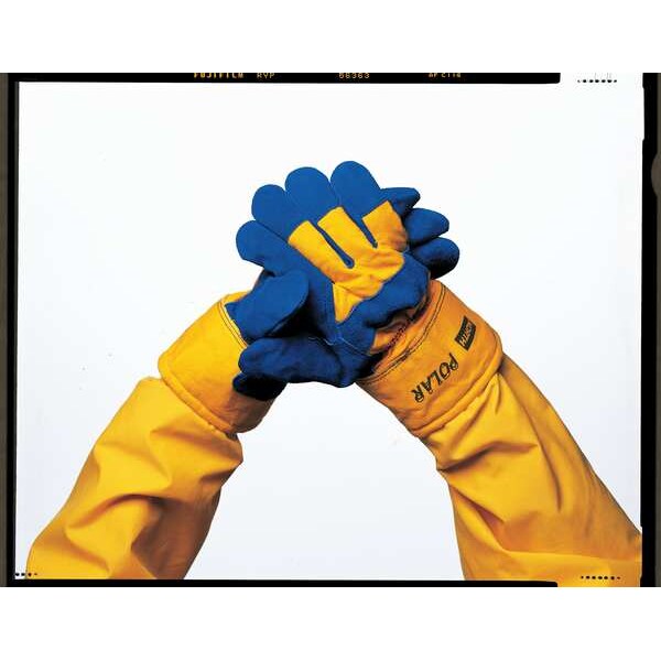 Cold Protection Gloves, Thinsulate Lining, L