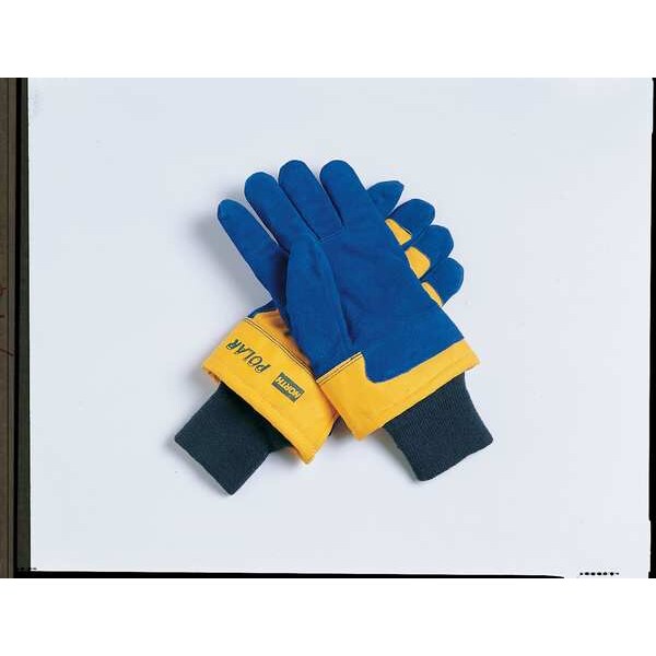 Cold Protection Gloves, Thinsulate Lining, L
