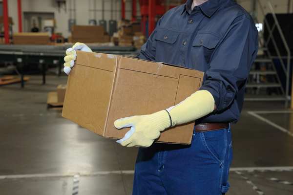 Cut Resistant Gloves, A3 Cut Level, Uncoated, L, 1 PR