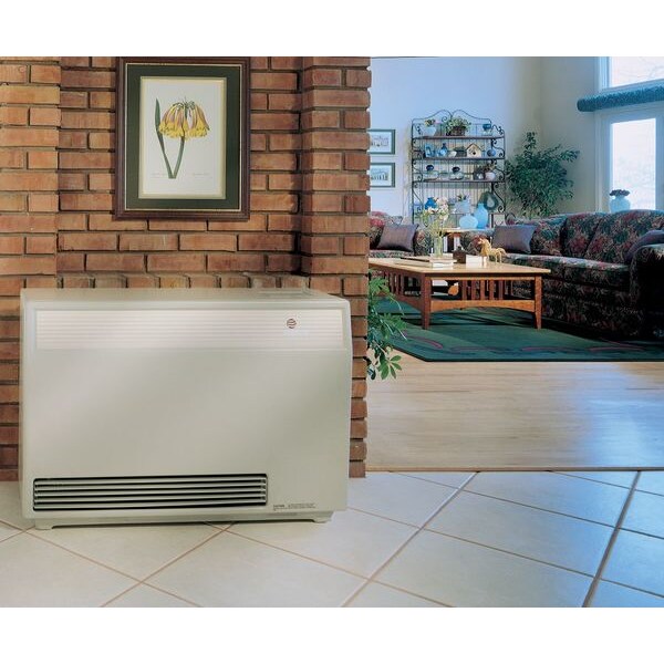Gas Freestanding Floor Heater, Propane, Direct Vent Vent Type, Fan Forced Convection