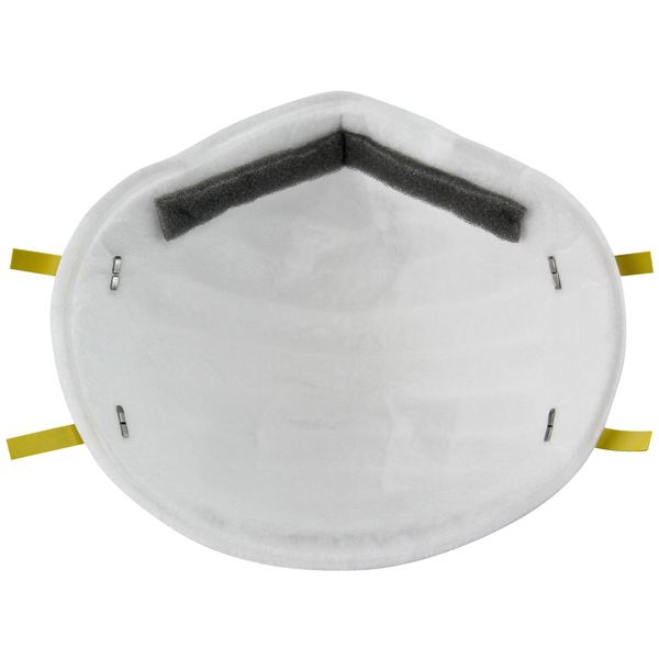 N95 Disposable Respirator, S, White, PK20