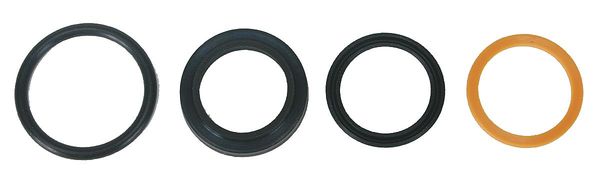 Rod Seal Kit, 1 In Rod Dia, 4Pcs