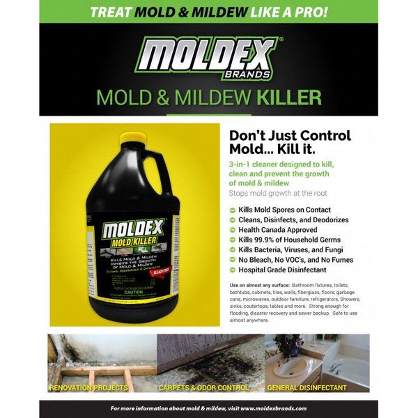 Mold Mildew Stain Remover, Bottle, 1 gal, Ready to Use